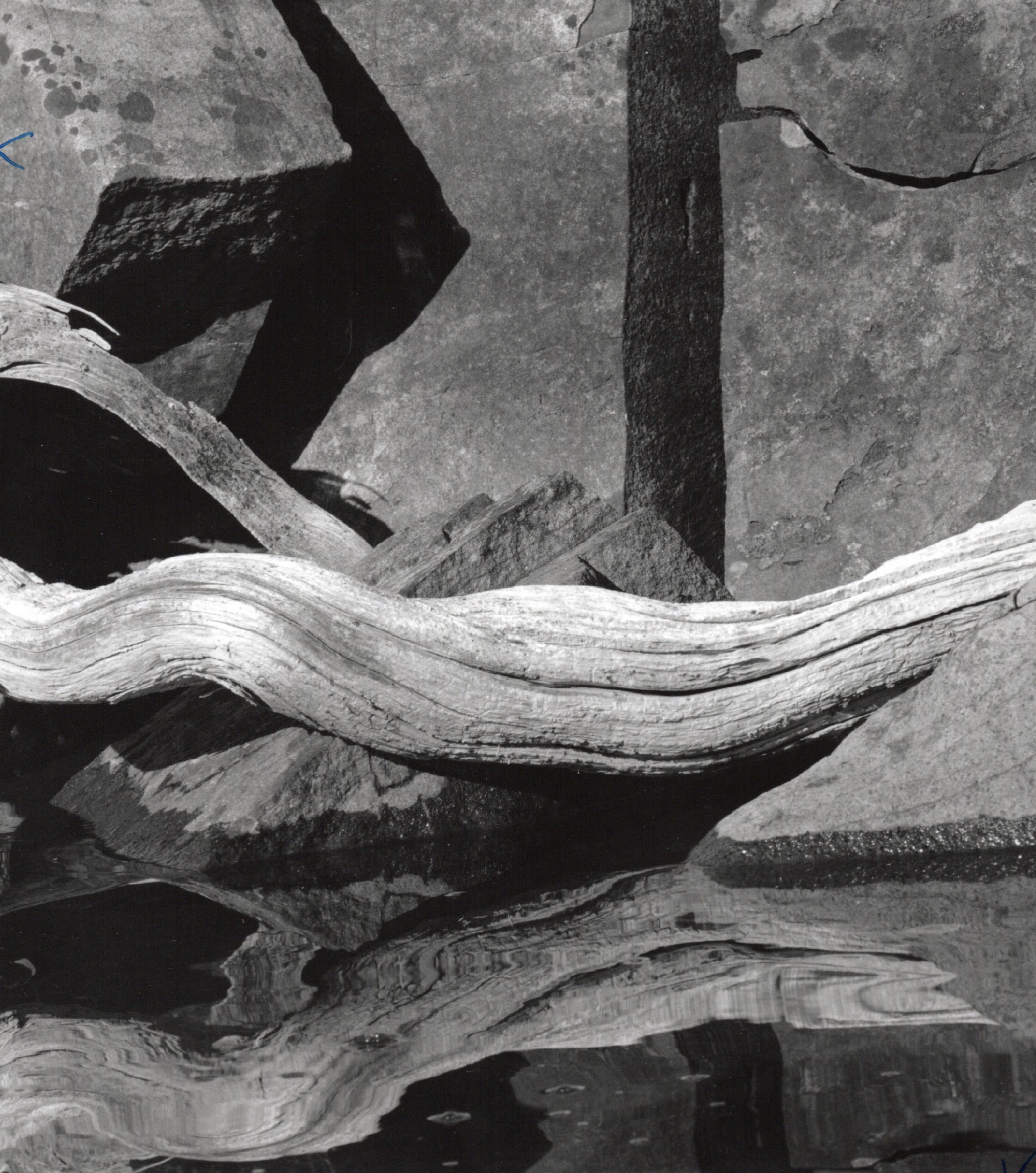 granite and driftwood photograph