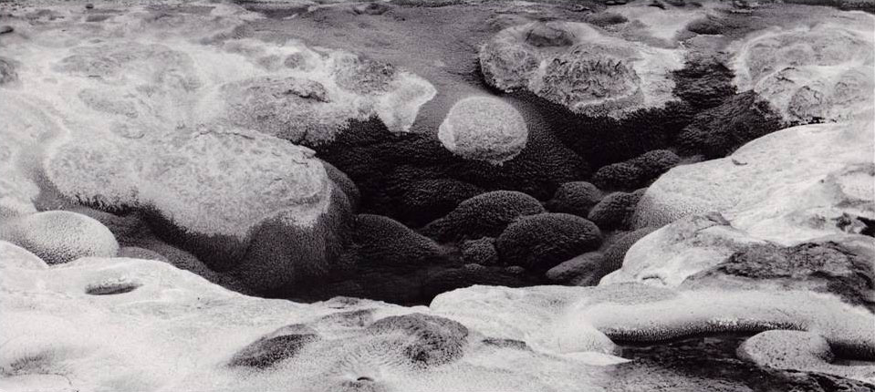 orange spring mound photograph