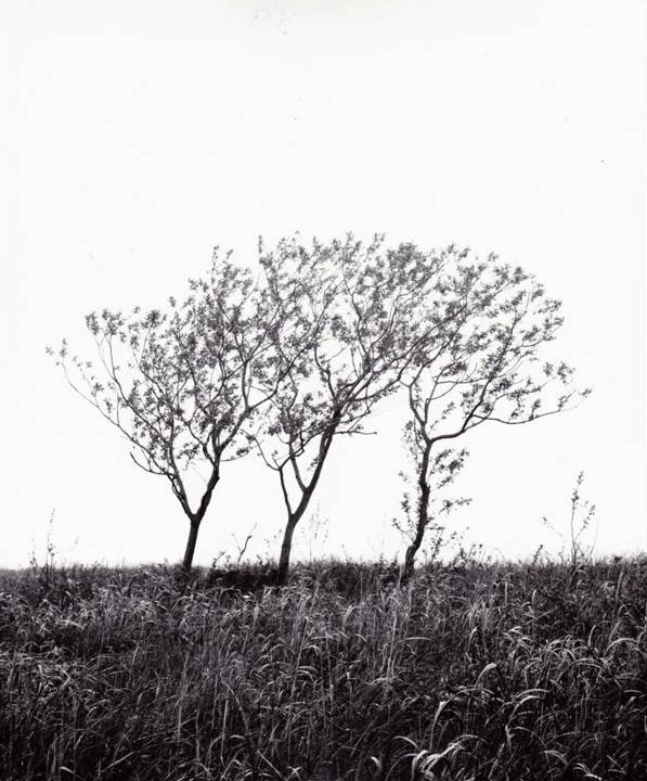 orange spring mound photograph